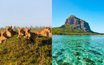 Pan African Safari Lodge e Tamarina Golf & Spa Boutique Hotel 4*