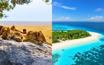 Safari en Kenia y Tanzania con estancia en Pongwe Bay Resort 5*
