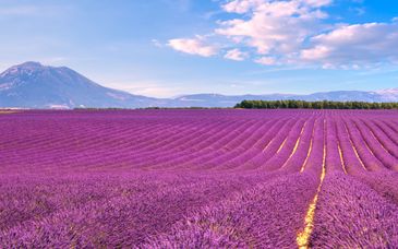 Mercure Aix en Provence Beaumanoir 4*