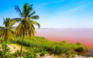 Tour di gruppo o privato: Alla scoperta dei meravigliosi colori del Senegal