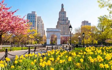 The Walker Hotel Greenwich Village 4*