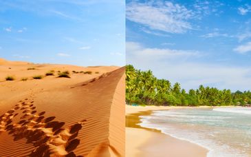 Tour privato: Il meglio dell'Oman con estensione al mare in Sri Lanka