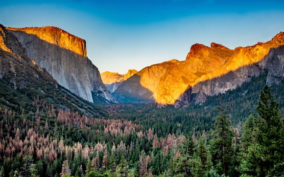 Ihre Rundreise im Detail