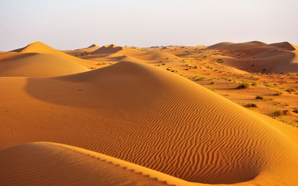 Im Angebot enthalten