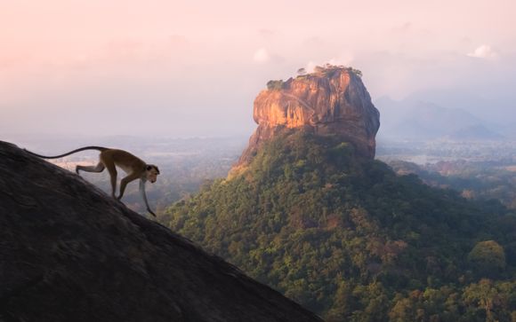 Ihre Rundreise im Detail