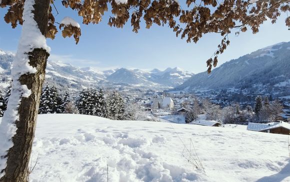 Ihr Skigebiet