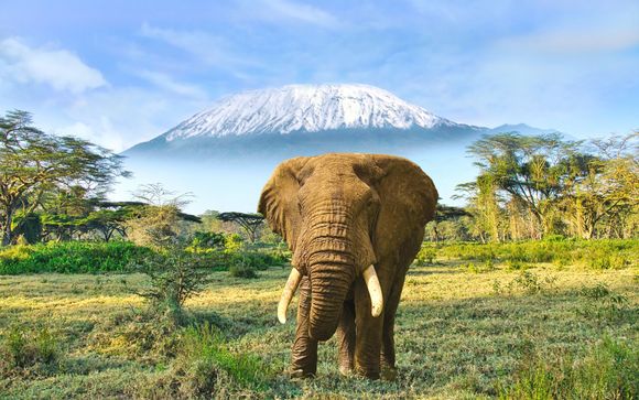 Ihre Safari im Überblick