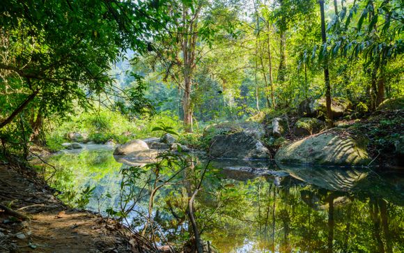Thai-Erlebnis: Elefanten-Camp, Thai-Kochkurs und Besuch des Tam Nang Wasserfalls