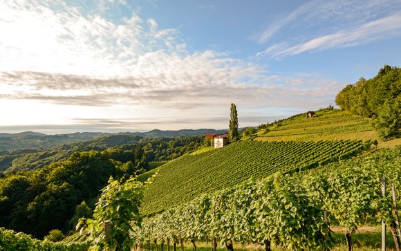 Geführter Tagesausflug zum Napa Valley