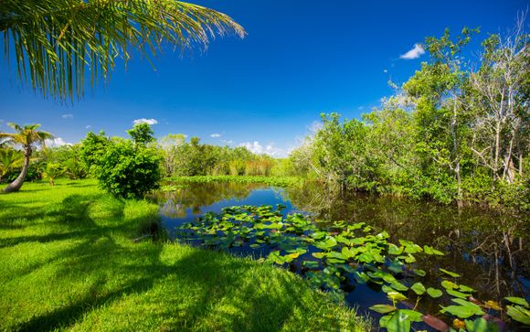 Everglades Airboat-Abenteuer (45 - 60 Minuten)