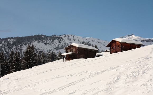 Das Skigebiet Laax