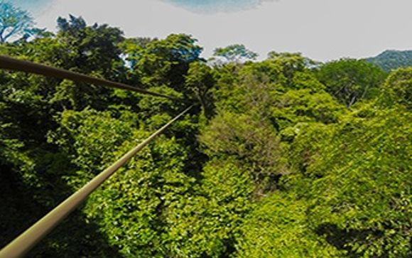 Ihre Optionen in der Dominikanischen Republik 