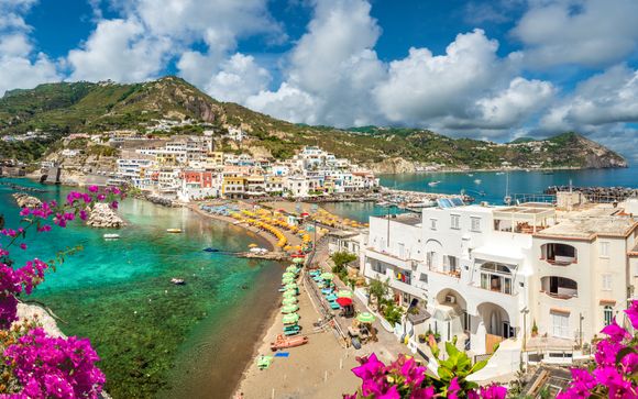 Zoom sur vos programmes