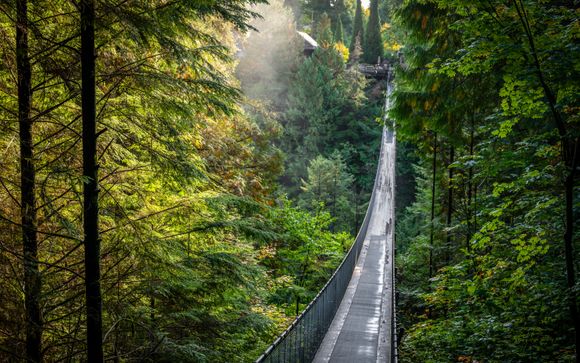 Mettez une option sur l