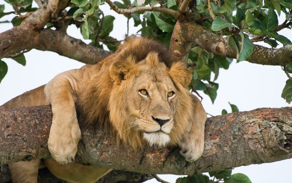 Zoom sur votre programme