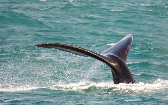 Votre option incluse selon la durée de votre séjour