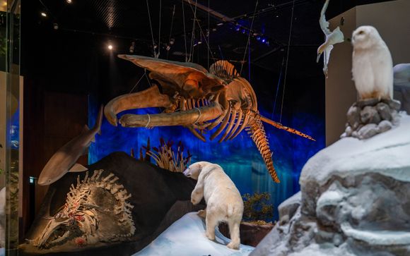 Vos billets inclus selon l