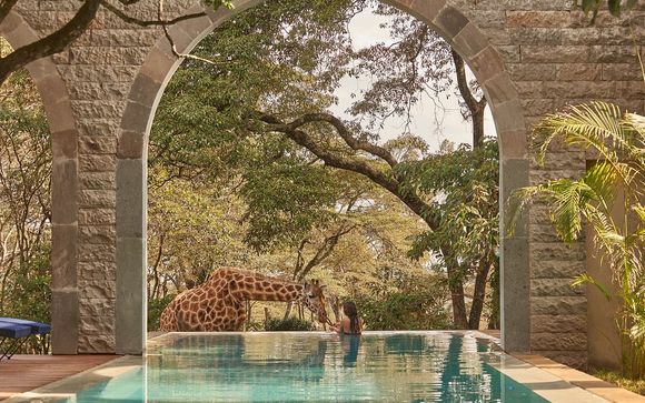 Mettez une option sur l