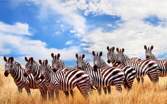 Votre séjour en un clin d'oeil 