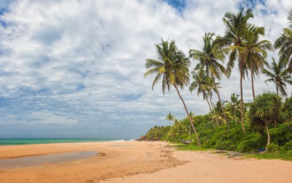 Zoom sur votre programme