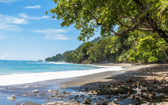 Mettez une option sur l