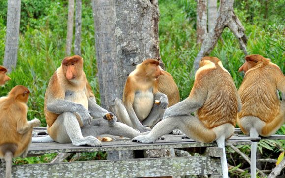 Welkom in... Maleisië en in... Singapore!