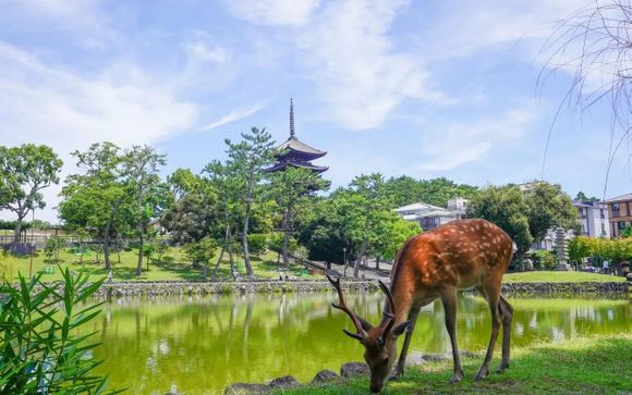 Mettez une option sur l