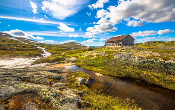 Zoom sur votre programme