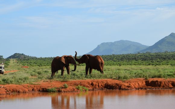 Votre safari en un clin d’œil