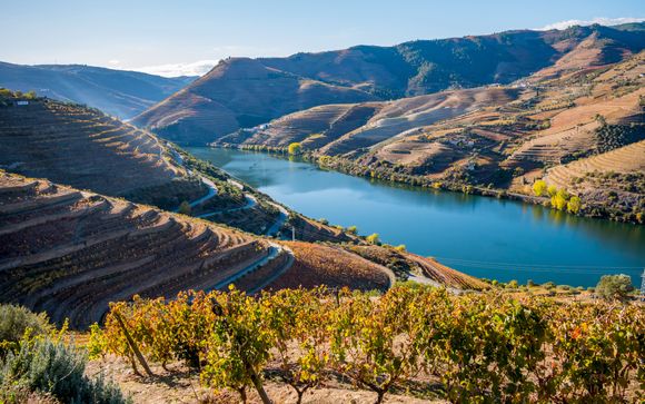Croisière des 6 ponts sur le Douro
