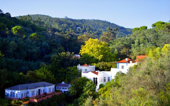 Pour aller plus loin 