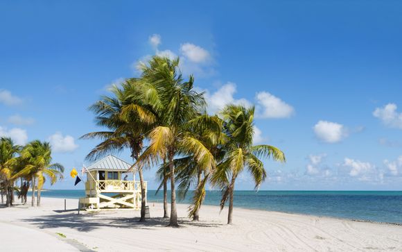Welkom in... Miami!