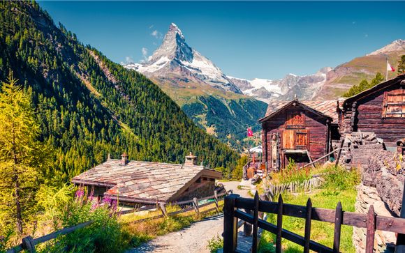 Zoom sur votre programme