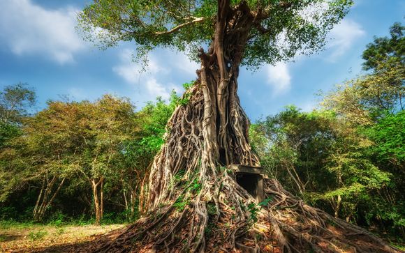 Zoom sur votre programme