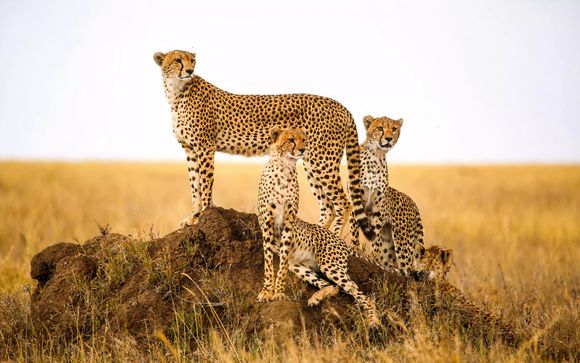 Welkom in ... Tanzania!