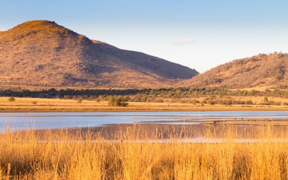 Promenades dans le bush