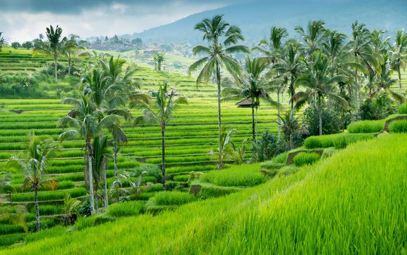 Rendez-vous en... Indonésie