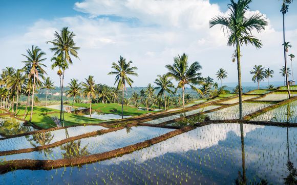 Welkom op... Bali!