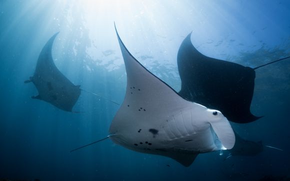 Zoom sur votre programme