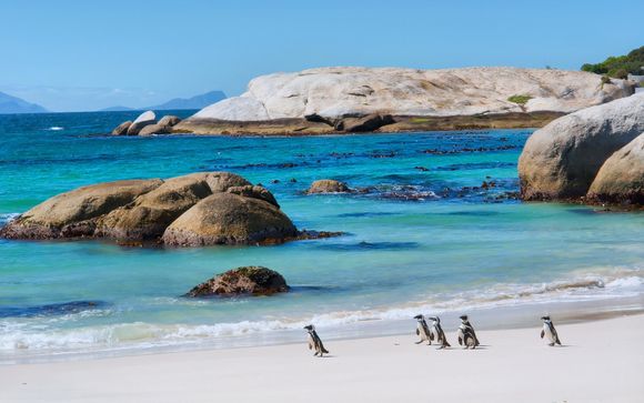 Welkom in... Zuid-Afrika!