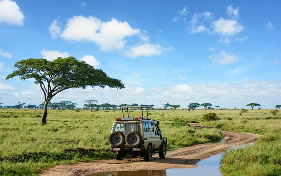 Votre safari en un clin d'oeil