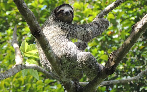 Votre circuit en un clin d'oeil