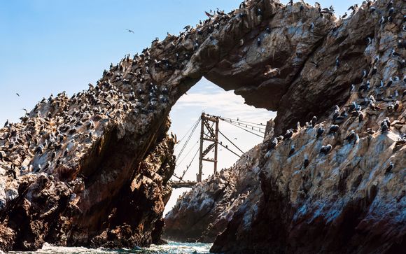 Zoom sur votre programme