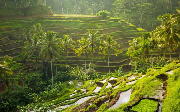 Welkom op... Bali!