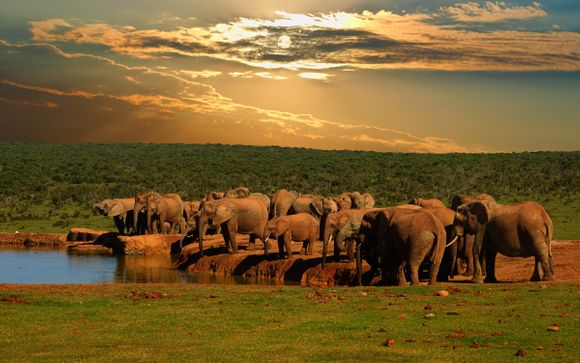 Mettez une option sur l