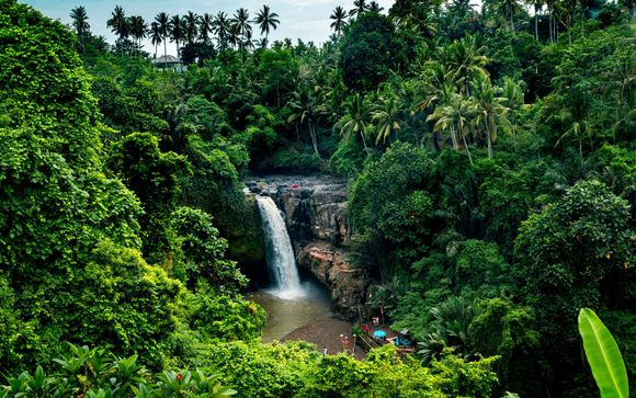 Mettez une option sur l