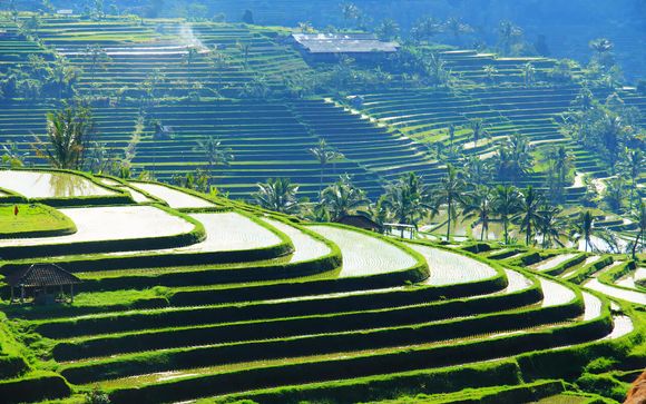 Welkom in... Indonesië!