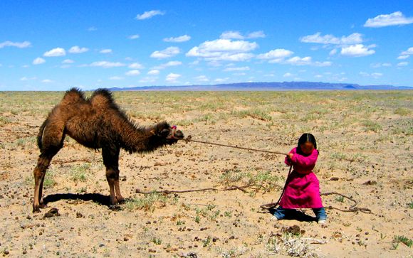 Welkom in...Mongolië