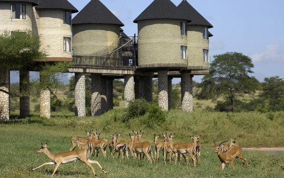 Accommodaties tijdens de safari