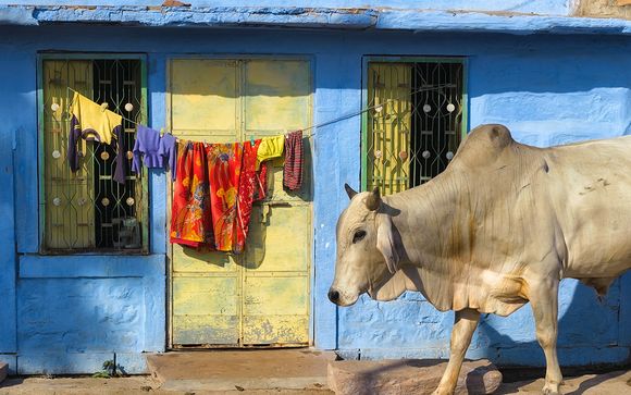 Nos petites astuces pour un séjour idéal